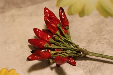 Peperoncino Calabrese PeperonciniPiccanti