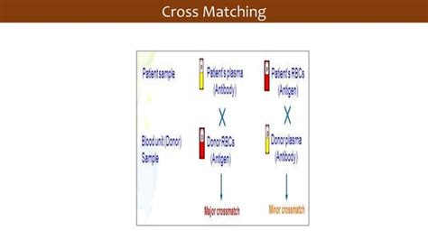 Blood Transfusion Ppt