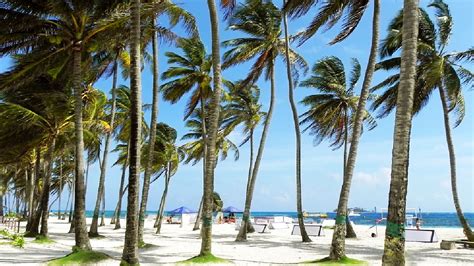 Las Mejores Playas Para Vacacionar En Colombia