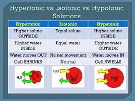 Fluids And Electrolytes Imbalances Flashcards Quizlet