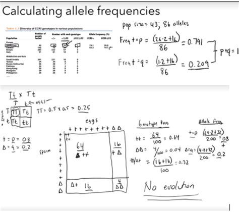 Evolution Exam 2 Flashcards | Quizlet 