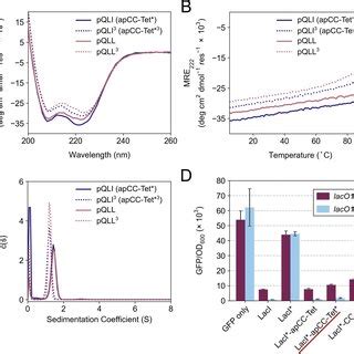 Biophysical And Structural Characterization Of The Heterotetrametric