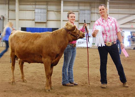 Expo Photos - American Dexter Cattle Association