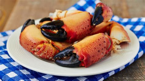 Why Stone Crab Claws Probably Arent Going Anywhere