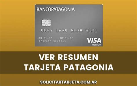 Contrase A Resumen Visa Patagonia C Mo Obtenerla Y Acceder De Forma