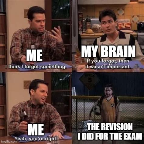 My Brain Me The Revision I Did For The Exam Me Meme Pi Ata Farms