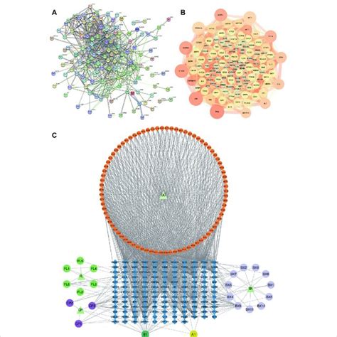 Analysis Of Ppi And Component Target Disease Networks A B Ppi