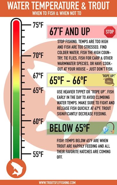 Trout And Water Temperature — Five Rivers Trout Unlimited