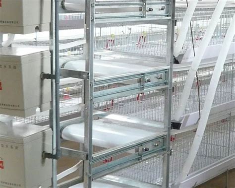 H Type Broiler Cage Project In Africa Customizable Chicken Farm Solution