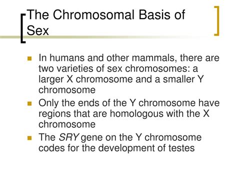 Ppt The Chromosomal Basis Of Inheritance Genes On Chromosomes And