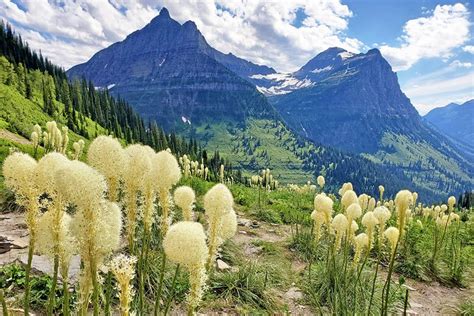 17 Top-Rated Things to Do in Glacier National Park, MT | PlanetWare