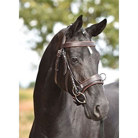 Busse Kappzaum FIT PRO schwarz Hübsche pferde Reiten Oldenburger pferd