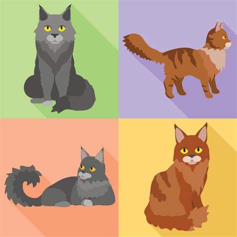 Maine Coon Icons Set Flat Style Vector Art At Vecteezy