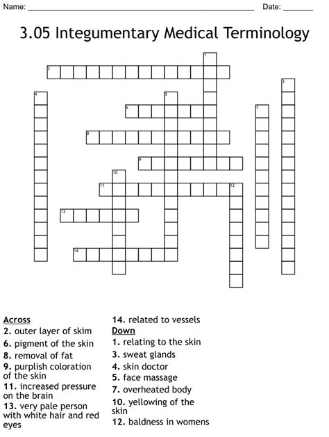 3 05 Integumentary Medical Terminology Crossword WordMint