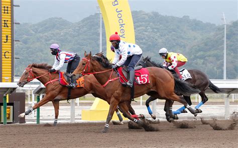 新聞 從化馬場 香港賽馬會