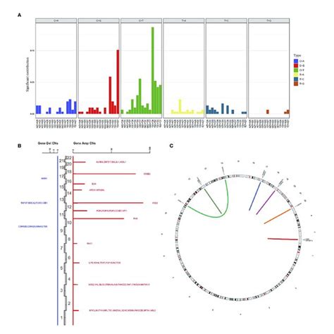 Summary Of Different Genomic Alteration Types In 22 Southern Chinese Download Scientific