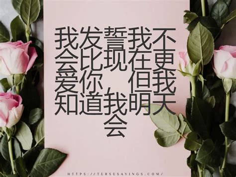 40+ Best Chinese love quotes