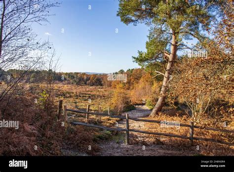 Pulborough Brooks Rspb Sussex Hi Res Stock Photography And Images Alamy