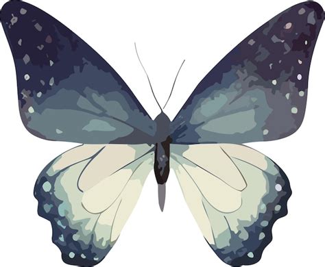 Aquarell schmetterling clipart vektorillustration isoliert auf weißem