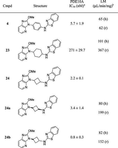 Discovery Of Novel Imidazo B Pyridines As Potent And Selective