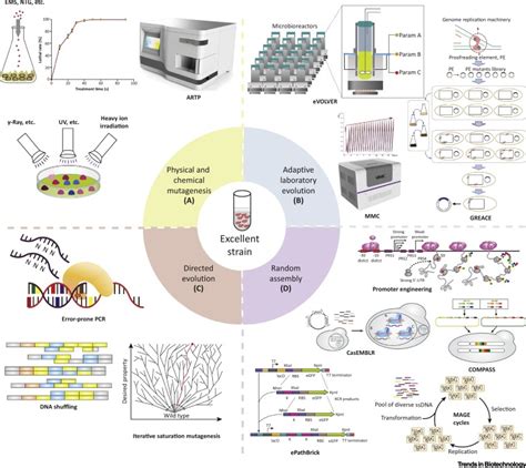 High Throughput Screening Technology In Industrial Biotechnology Trends In Biotechnology