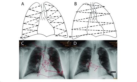 Reprinted From Goodman And Felson 2007 With Permission A B Download Scientific Diagram