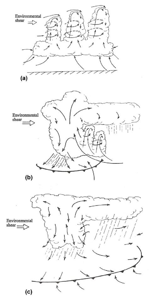 3: Developmental stages of an ordinary thunderstorm: (a) cumulus stage ...