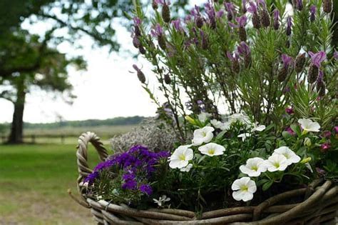 Blumenkasten Weidengeflecht Blumenkästen 2025 finden garten dekowelt de