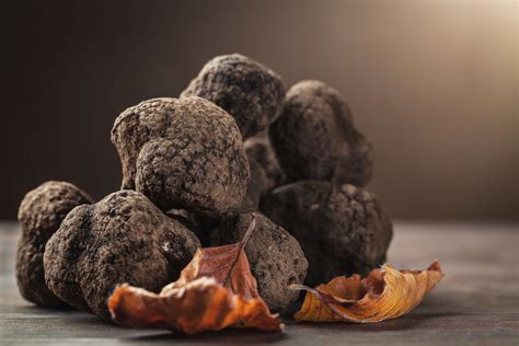 Producteurs et vendeurs de truffes noires du Périgord La truffe Sibourd