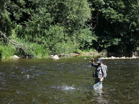 Fly Fishing the river Usk VIDEO - Fishing in Wales