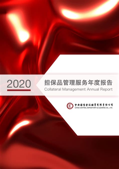 2020担保品管理服务年度报告