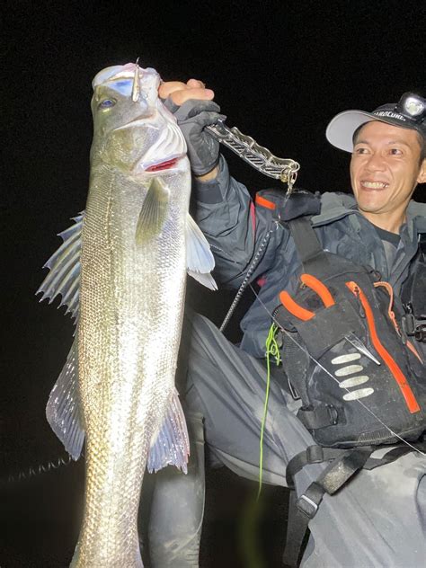 木曽川釣行 秋だなぁ みっくんのシーバスモンスターへの道