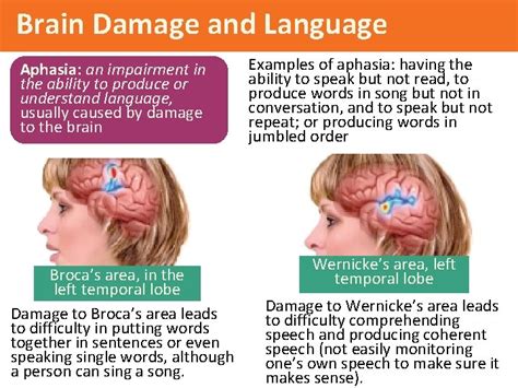 Thinking Language And Intelligence Power Point Presentation By