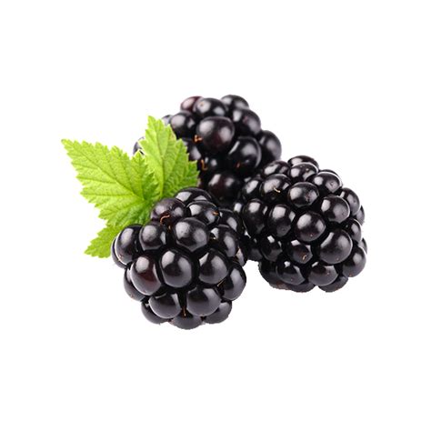 Mulberry PNG Isolated File PNG Mart