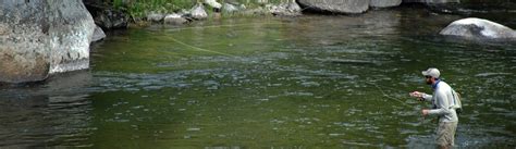 Fly Fishing Rock Creek in Western Montana