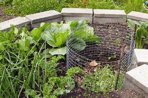 How To Build A Keyhole Garden Bed Garden Gate