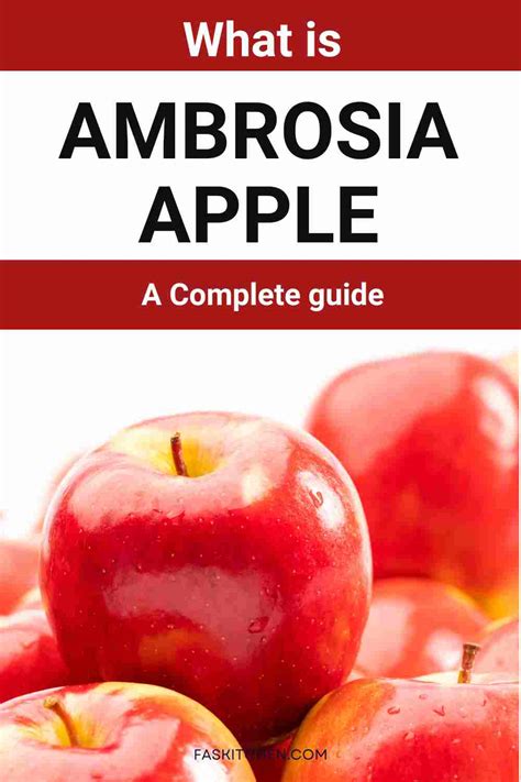 Ambrosia Apple 101: Nutrition, Benefits, How To Use, Buy, Store ...