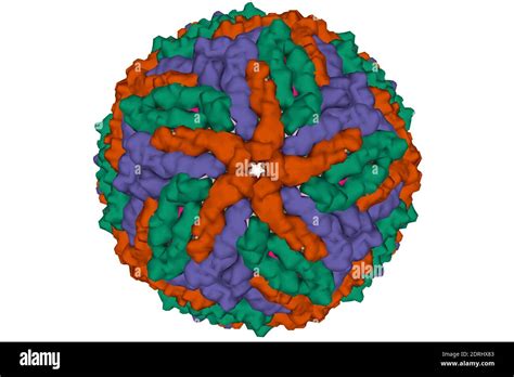 The Cryo EM Structure Of Zika Virus 3D Surface Model Isolated White