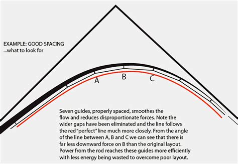 Anglers Resource5 Tips for Choosing the Right Rod - Anglers Resource