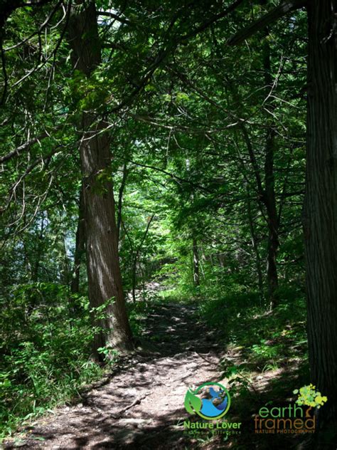 Scouting Out Ferris Provincial Park S Ranney Falls Trail