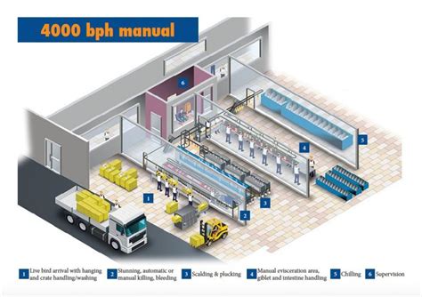 2000 6000 Birds Per Hour Poultry Processing Plants Dutch Poultry Tech