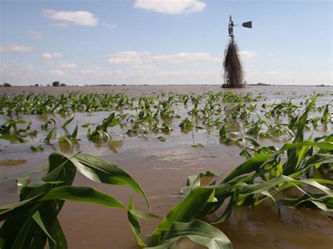 Effects of floods on Kenya’s Agriculture | Agcenture