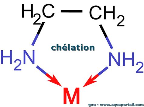 Chélation Définition Et Explications