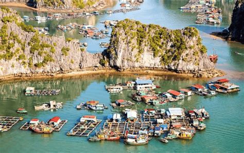 Lan Ha Bay - An Unforgettable Journey In Cat Ba Island - GOVNTRAVEL