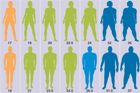 Calculer Et Interpréter Votre Indice De Masse Corporelle Imc