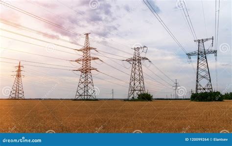 Linhas Elétricas De Alta Tensão No Por Do Sol Estação Da Distribuição