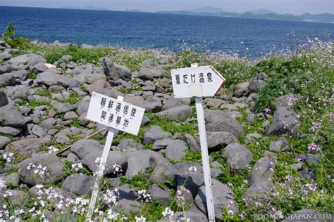 Ainoshima - Yet Another Cat Island in Japan » Zooming Japan