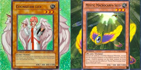 Best Earth Attribute Support Cards In Yu Gi Oh