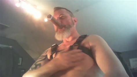 Cigar Daddy Harness