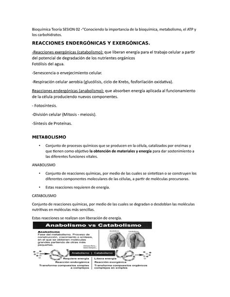 Bioquímica Teoría Sesion 02 Bioquímica Teoría SESION 02 Conociendo